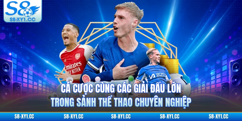 Cá cược cùng các giải đấu lớn trong sảnh thể thao chuyên nghiệp