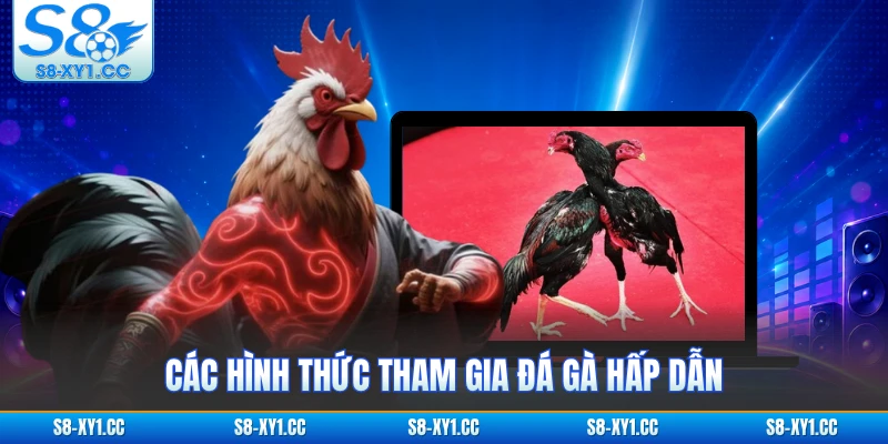 Các hình thức tham gia đá gà hấp dẫn