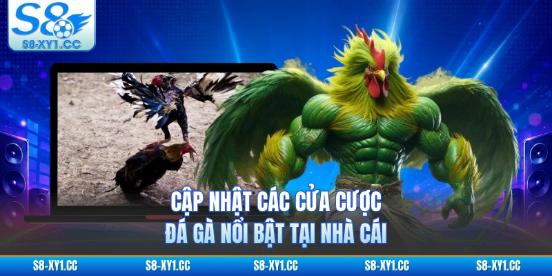 Cập nhật các cửa cược đá gà nổi bật tại nhà cái