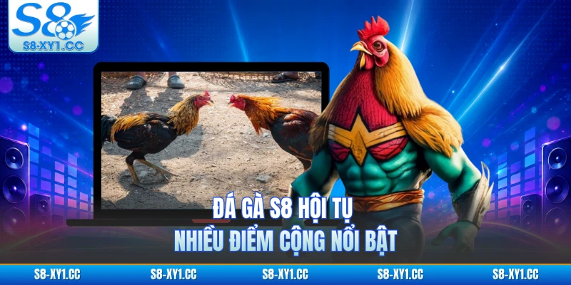 Đá gà S8 hội tụ nhiều điểm cộng nổi bật