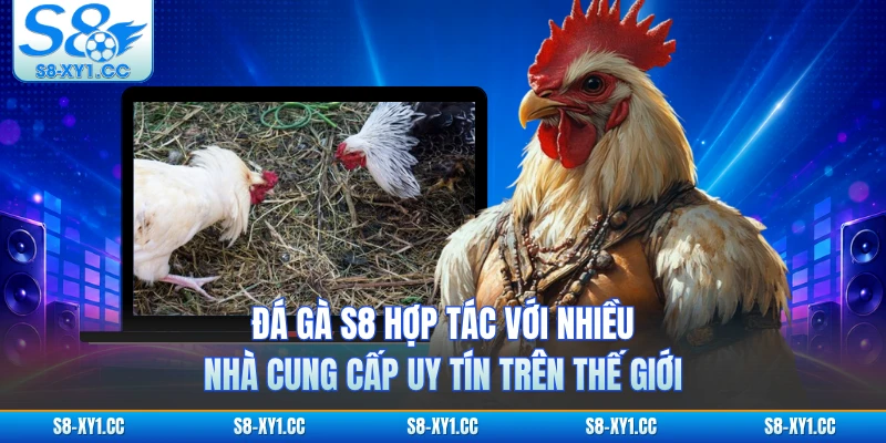 Đá gà S8 hợp tác với nhiều nhà cung cấp uy tín trên thế giới