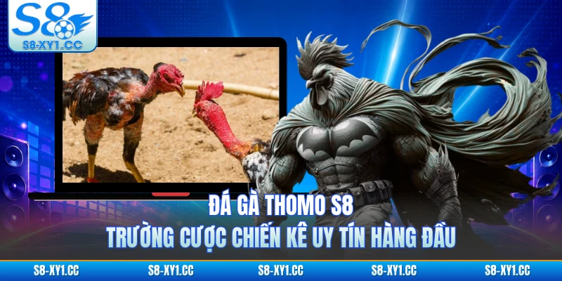 Đá Gà Thomo S8 - Trường Cược Chiến Kê Uy Tín Hàng Đầu