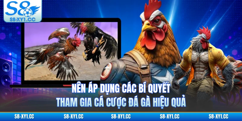 Nên áp dụng các bí quyết tham gia cá cược đá gà hiệu quả