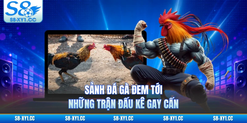 Sảnh đá gà đem tới những trận đấu kê gay cấn